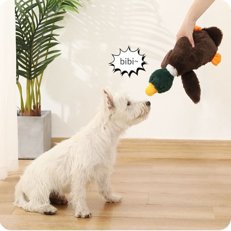 Plush Mallard Duck Dog Toy Plush Squeaky Dog Toy Crinkle Dog Toy Cute Duck Pet Toy for Small Medium Large Pets Stuffed Animals Chew Toy for Biting Tr Plush Mallard Duck Dog Toy Plush Squeaky Dog Toy Crinkle Dog Toy Cute Duck Pet Toy for Small Medium Large Pets Stuffed Animals Chew Toy for Biting Tr