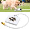 Dog Water Outdoor Fountain