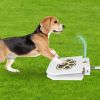 Dog Water Outdoor Fountain