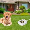 Dog Water Outdoor Fountain