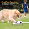 Dog Water Outdoor Fountain