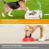 Dog Water Outdoor Fountain