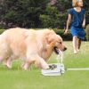Dog Water Outdoor Fountain