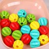 Pet molar toy watermelon ball silicone toy dog