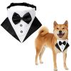 Wedding suit dog collar