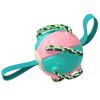 Dog Soccer Ball Interactive Pet Toys