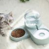 Large Automatic Drinking Fountain and Food Bowl Dispenser