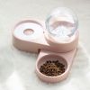 Large Automatic Drinking Fountain and Food Bowl Dispenser