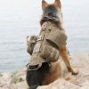 Tactical Dog Harness With Pouches