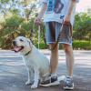 K9 leash; Bungee Tactical Dog Leash