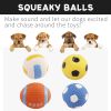 Squeaky Dog Toys; Bouncy & Durable for Small Medium Dogs
