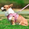 Dog Harnesses and leash set