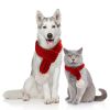 Pet knit Christmas scarf Creative teddy dog scarf