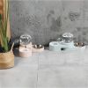 Large Automatic Drinking Fountain and Food Bowl Dispenser