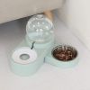 Large Automatic Drinking Fountain and Food Bowl Dispenser
