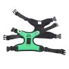 Dog harness set