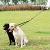 Dual Dog Leash; Double Dog Leash; 360 Swivel No Tangle Walking Leash