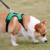Dog harness set