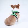 Dog harness set