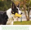 Pet Dog Toy Interactive Rubber Balls