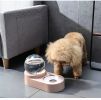 Large Automatic Drinking Fountain and Food Bowl Dispenser