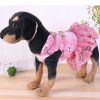 New Year Dog Dress