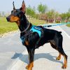 Multi Color Service Dog Harness And Leash Set