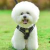 Reflective Pet Harness And Leash Set For Dog
