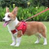 Reflective Pet Harness And Leash Set For Dog