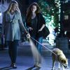 16FT Retractable Dog Leash with Flashlight RGB Light 2 Rolls of Waste Bags Dispenser