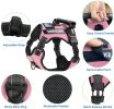 Multi Color Service Dog Harness And Leash Set