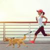 Double Dogs Leash No-Tangle Dogs Lead