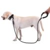 Strong Nylon Braided Dog Leash