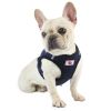 Dog Harnesses and leash set