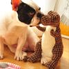 Color Stuffed Dinosaur Dog Sounding Toy