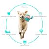 Dog Soccer Ball Interactive Pet Toys