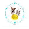 Dog Puzzle Toys Interactive Slow Feeder