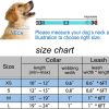 Adjustable Nylon Dog Vest & Leashes For Walking Training