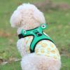 Dog harness set