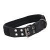 Super strong large dog collar with D-Ring & Buckle