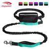 Hands Free Dog Leash with Zipper Pouch