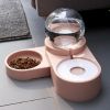 Large Automatic Drinking Fountain and Food Bowl Dispenser