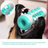 Dog Molar Toothbrush Puppy Dental Care