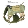 Universal Harness With Pet Leash And Snap Shackle Hitched Loop For Dogs