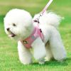 Reflective Pet Harness And Leash Set For Dog