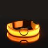 LED Glow-In-The-Dark Pet Collar For Dog