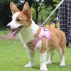 Reflective Pet Harness And Leash Set For Dog