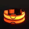 LED Glow-In-The-Dark Pet Collar For Dog