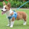 Reflective Pet Harness And Leash Set For Dog