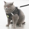 Reflective Pet Harness And Leash Set For Dog